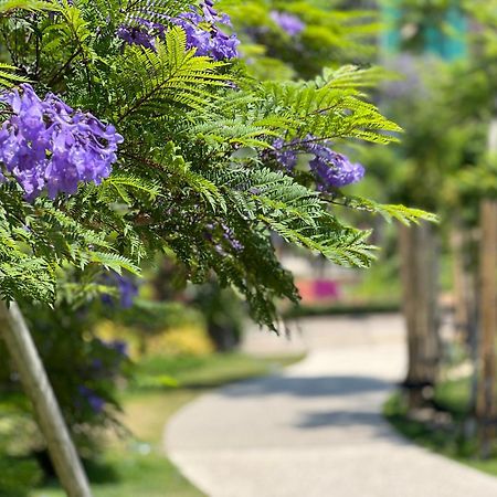 ゲストハウスあさひ Atami  Ngoại thất bức ảnh